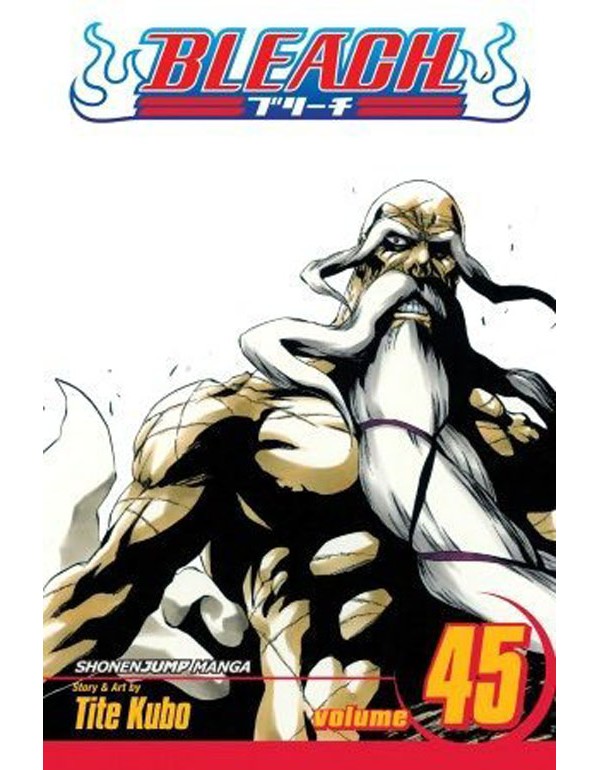 Bleach, Vol. 45