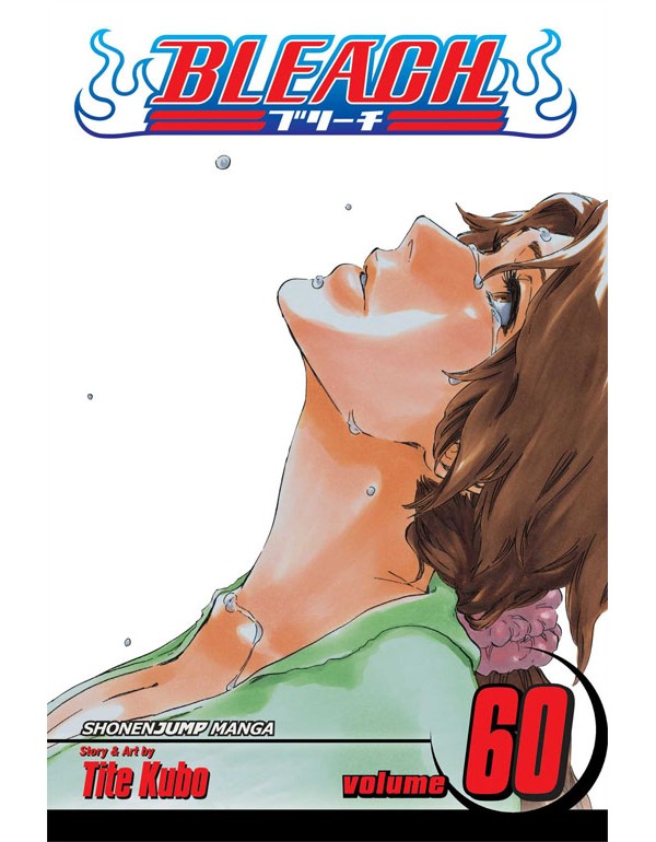 Bleach, Vol. 60: Everything But The Rain