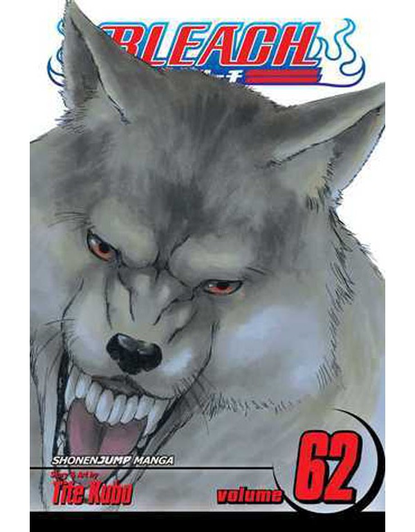 Bleach, Vol. 62