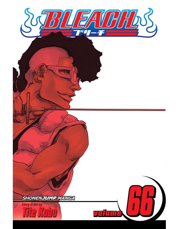 Bleach, Vol. 66