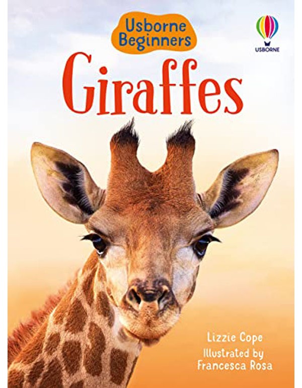 Giraffes