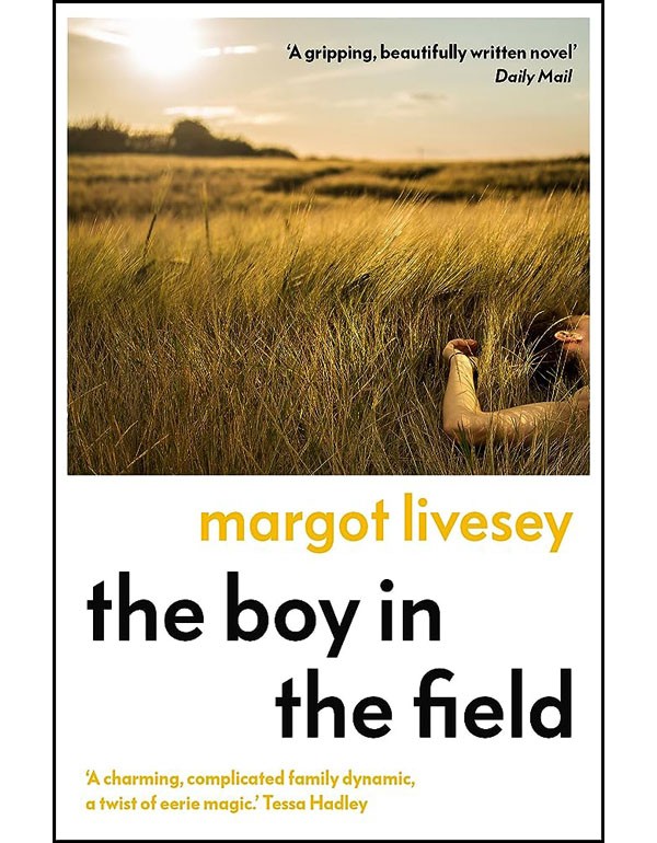 The Boy in the Field The Boy in the Field