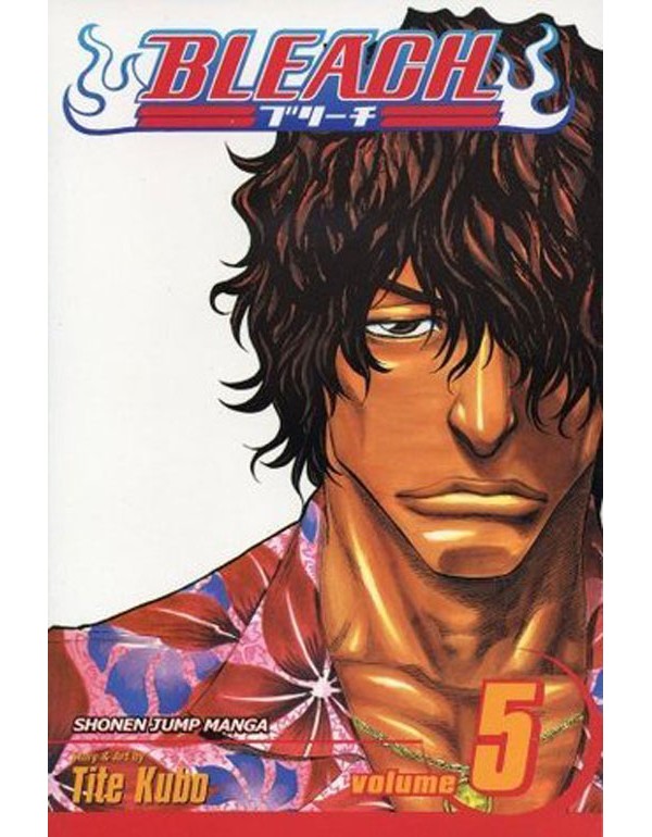 Bleach, Vol. 5