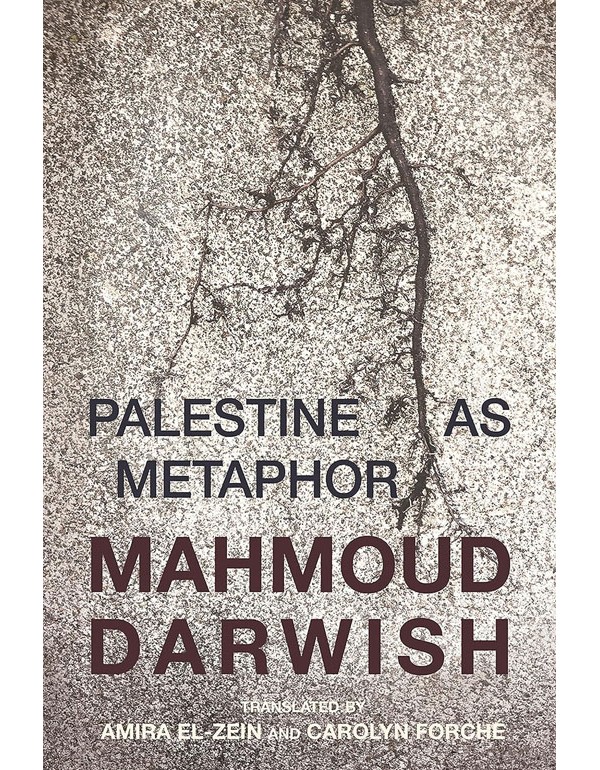Palestine As Metaphor