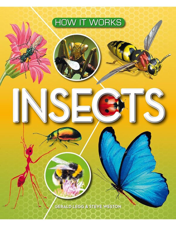 How It Works: Insects