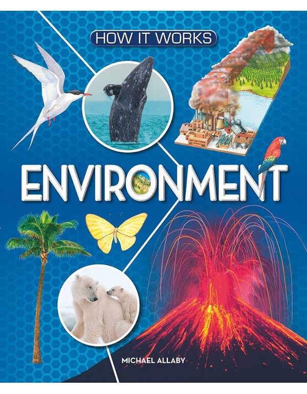 How It Works: Environment