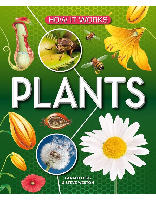 How It Works: Plants