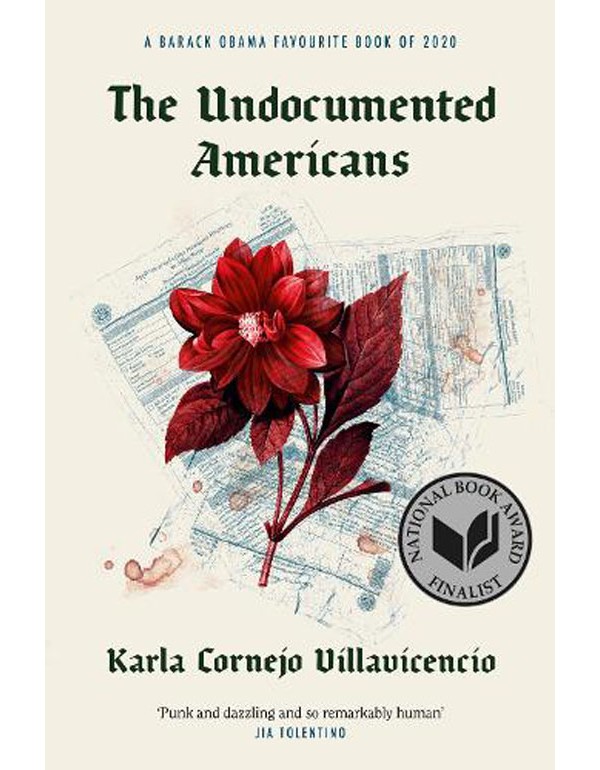 The Undocumented Americans