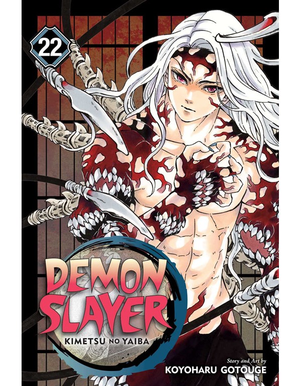 Demon Slayer: Kimetsu no Yaiba, Vol. 22